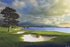 Hot Pebble Beach Culmination By Joann Dost -Metal Print