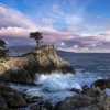 Outlet Pebble Beach Lone Cypress Evening By Bart Keagy