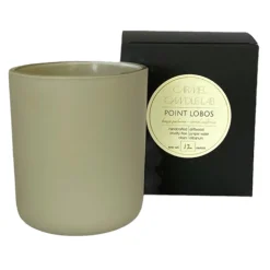 Best Pebble Beach Point Lobos Enlightened Candle By Carmel Candle Lab