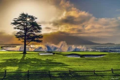 Best Pebble Beach Radiance By Joann Dost -Metal Print
